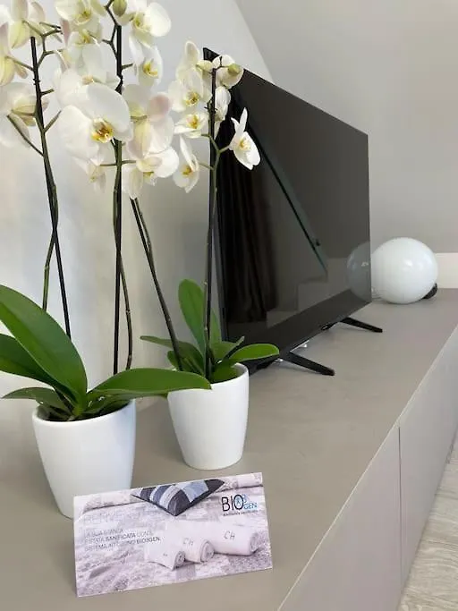Queen Verona Luxury Apartment